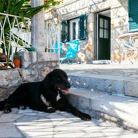 A Kind Of Magic Appartement