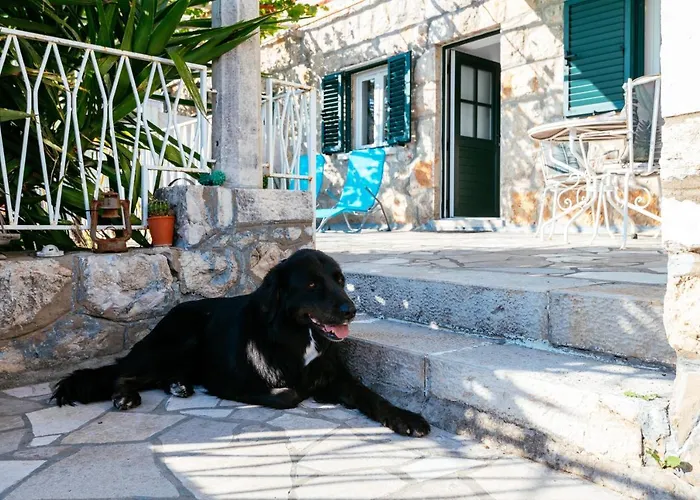 A Kind Of Magic Apartament